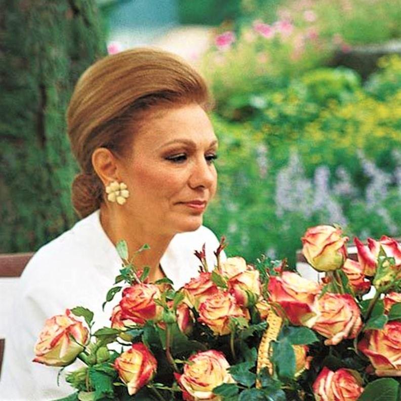 Imperatrice Farah ® Trandafir Teahibrid butaşi trandafiri de grădină în ghiveci sau rădăcină liberă