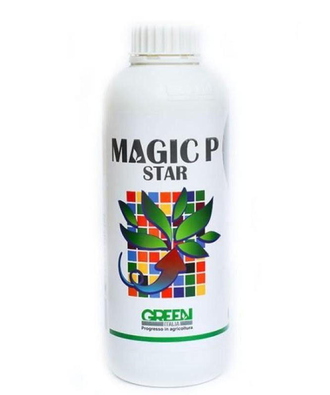 Îngrășământ foliar MAGIC P Star Ingrasamant butaşi trandafiri de grădină în ghiveci sau rădăcină liberă